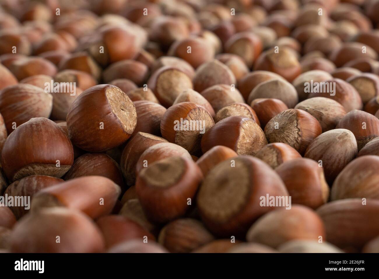 Primo piano le nocciole. Composizione di nocciole e backgorund. Nocciole turche. Cibo naturale biologico. Foto di cibo Foto Stock