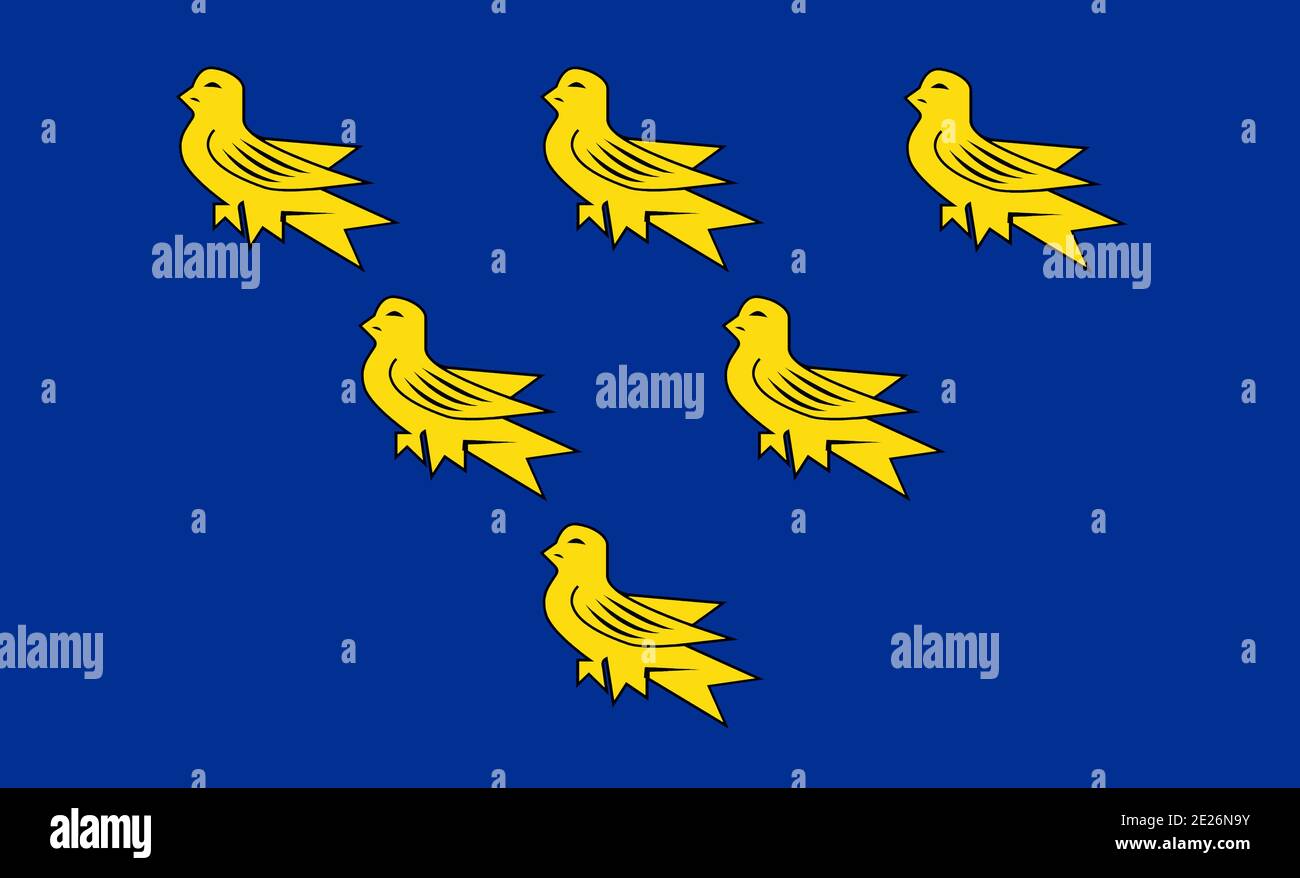 Bandiera della contea di West Sussex che rappresenta West Sussex in Il Regno Unito Foto Stock