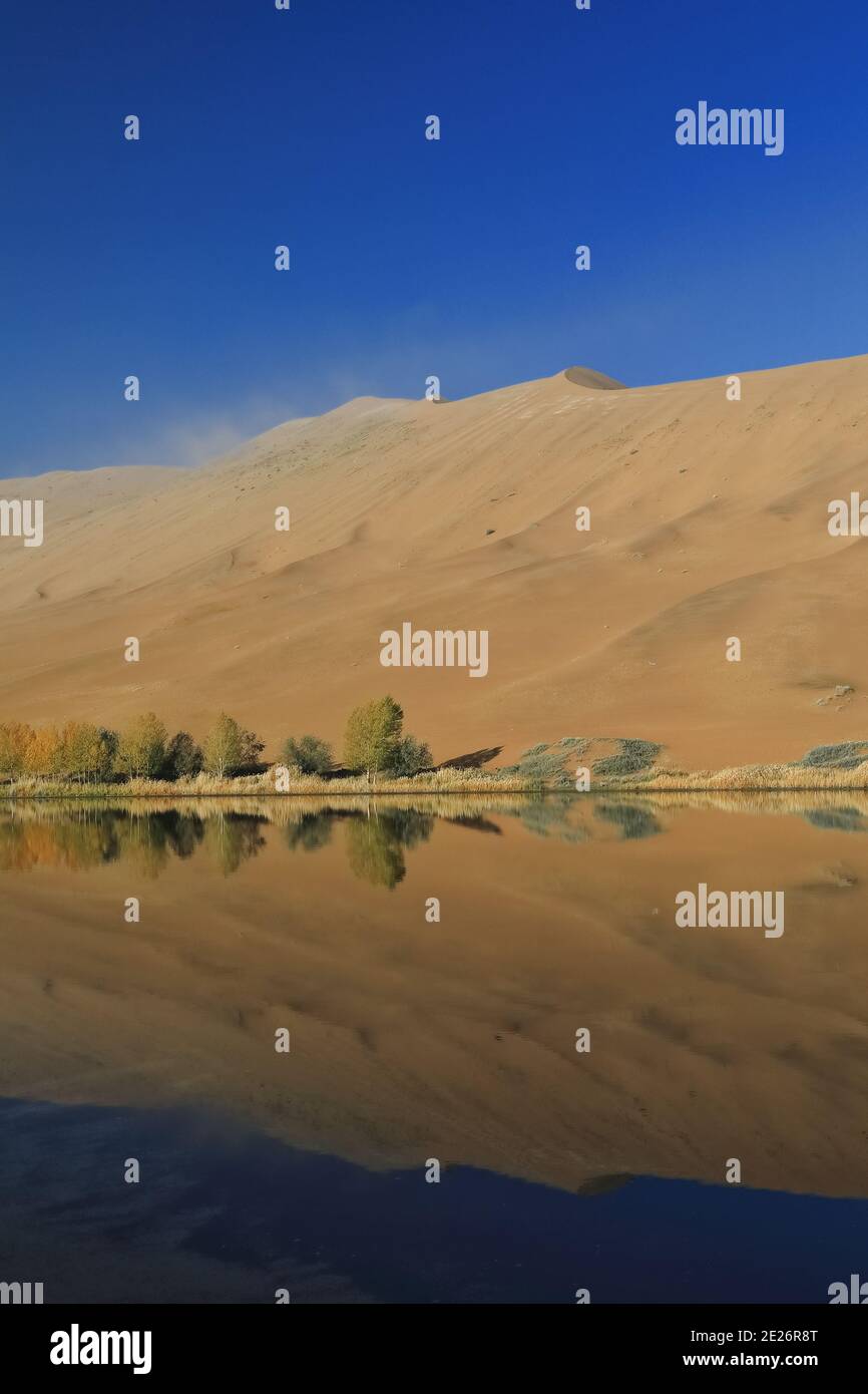 Deserto di Badain Jaran, il megaduno occidentale del lago Sumu Jaran. Mongolia interna-Cina-1202 Foto Stock