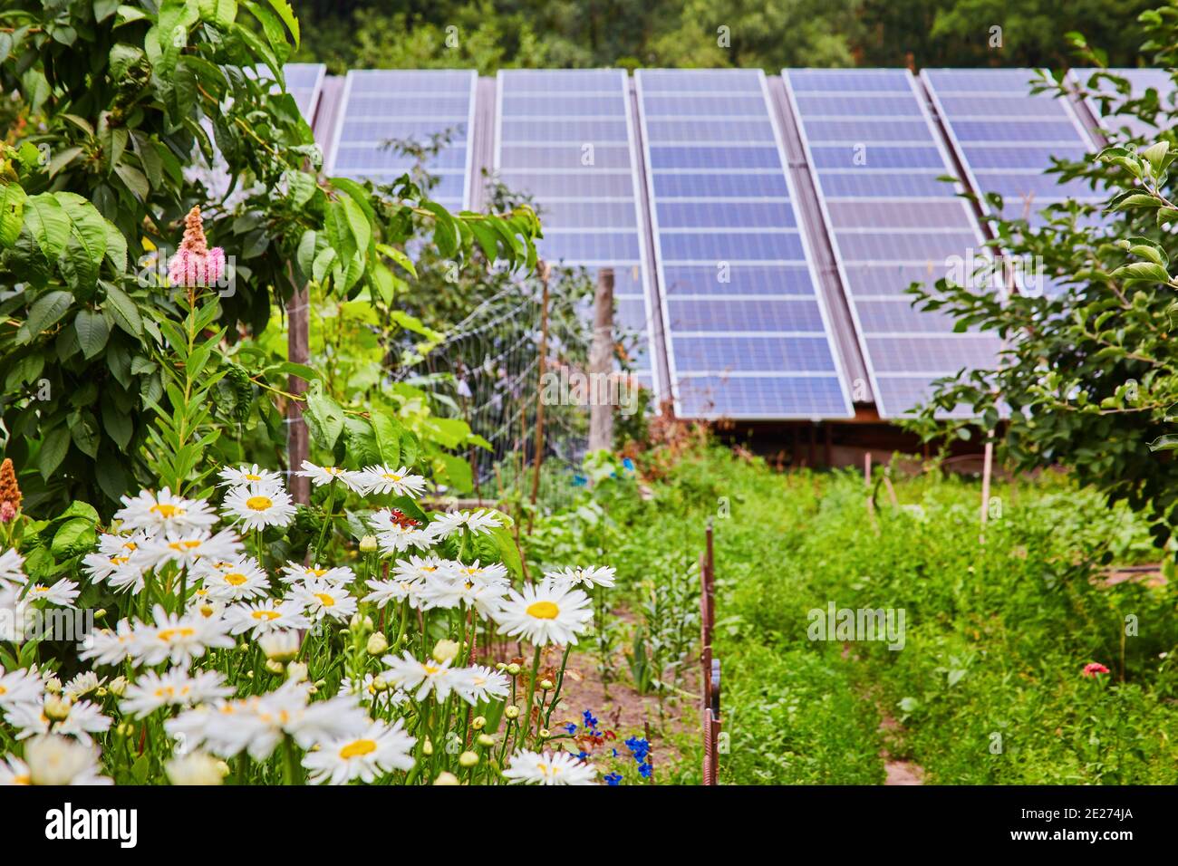 Pannello solare produce verde, rispettosi dell'ambiente energia dal sole. Foto Stock