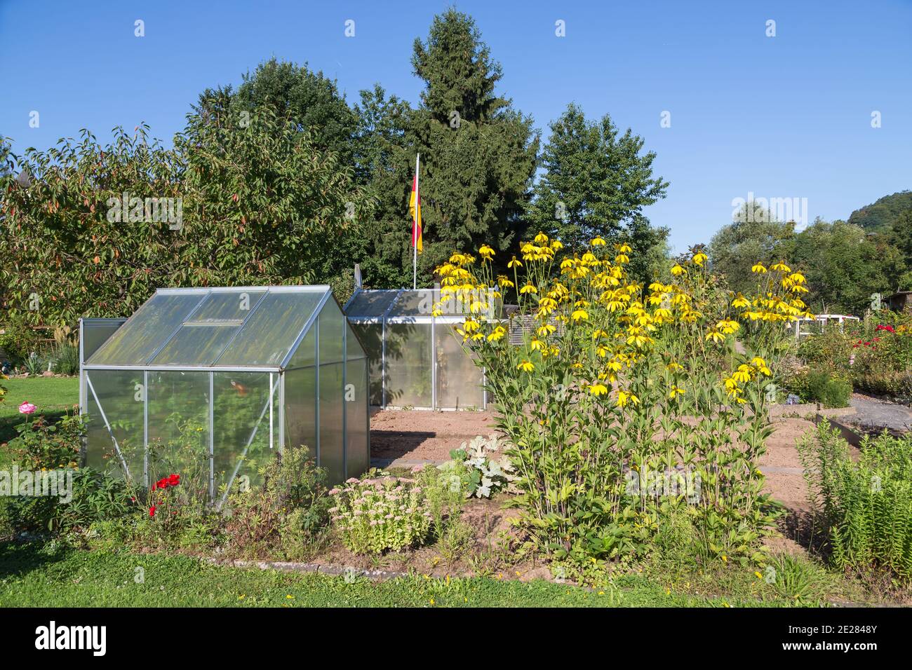 assegnazione con casa verde in estate Foto Stock