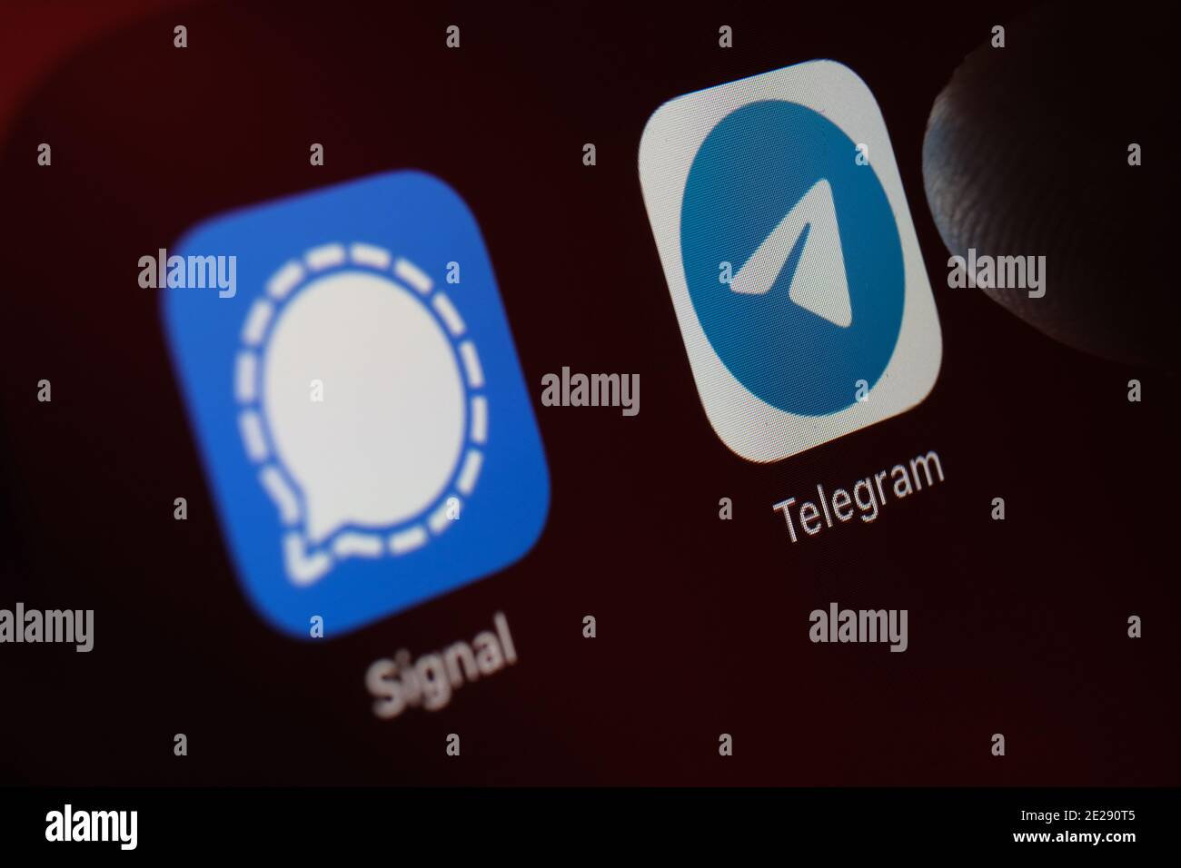 Stafford, Regno Unito - Gennaio 12 2021: Applicazioni di segnale e telegramma e dito sfocato sopra di loro. Le app sono molto popolari negli Stati Uniti a causa della secur Foto Stock