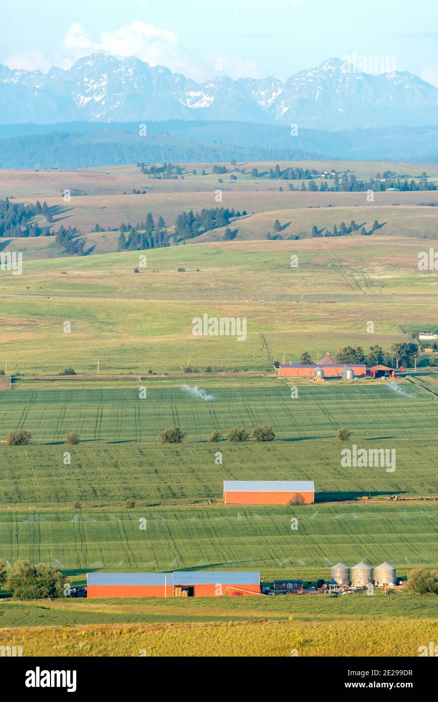Le aziende agricole in Oregon Wallowa della valle. Foto Stock