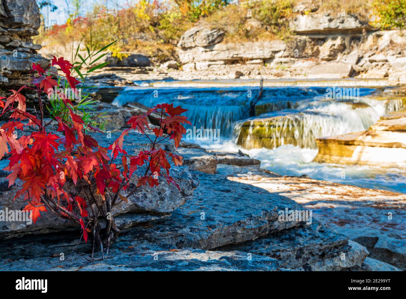 Quarto scivolo conservazione Area Bonnechere fiume Renfrew Contea Ontario Canada in autunno Foto Stock