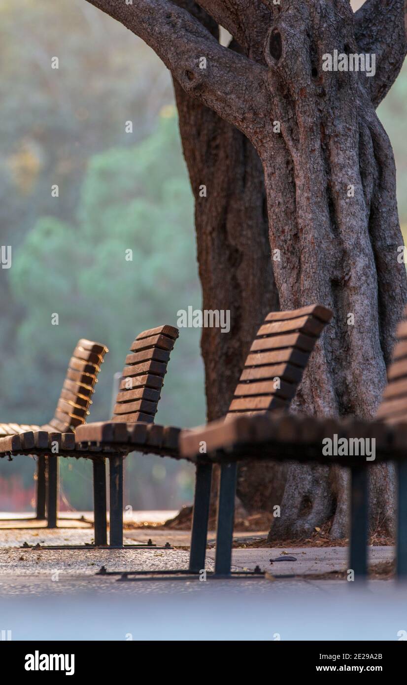Panca seduta all'aperto accanto all'albero Foto Stock