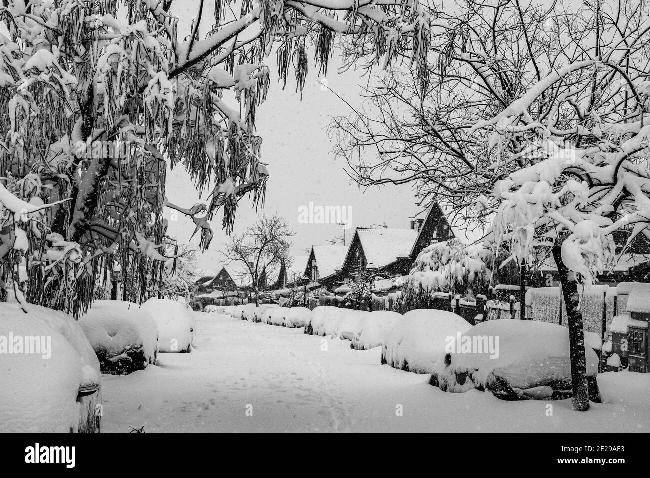 Splendida vista su alberi innevati, automobili e case Foto Stock