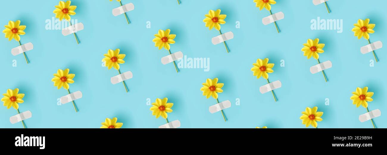 Striscione realizzato con motivo floreale. Fiore giallo naturale fresco incollato con cerotto adesivo su fondo blu. Medicina di concetto, salute e naturopata Foto Stock