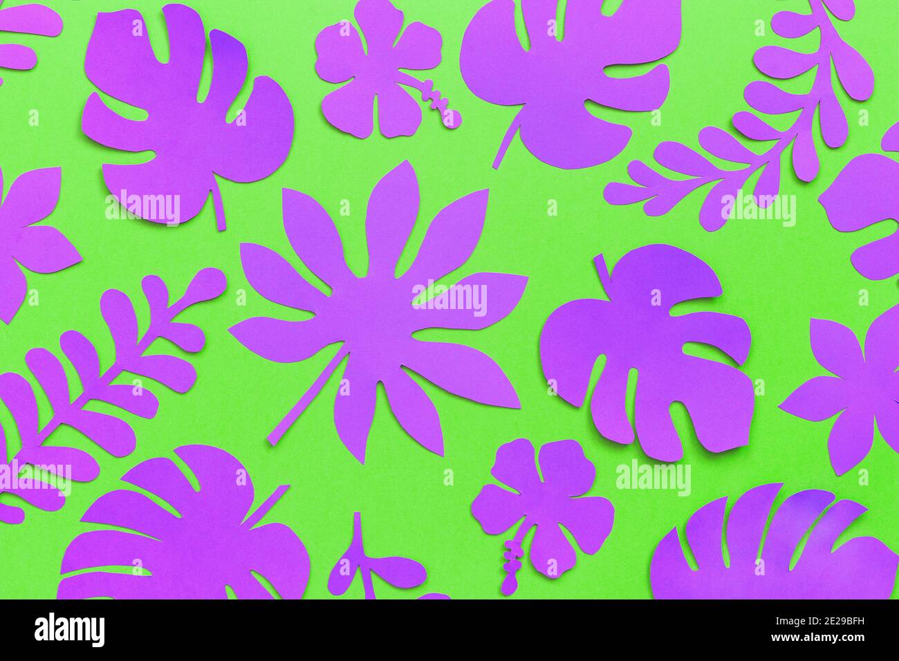 Modello di foglie tropicali. Foglie tropicali viola di carta su sfondo verde. Posa piatta, composizione top-down, carta creativa art Foto Stock