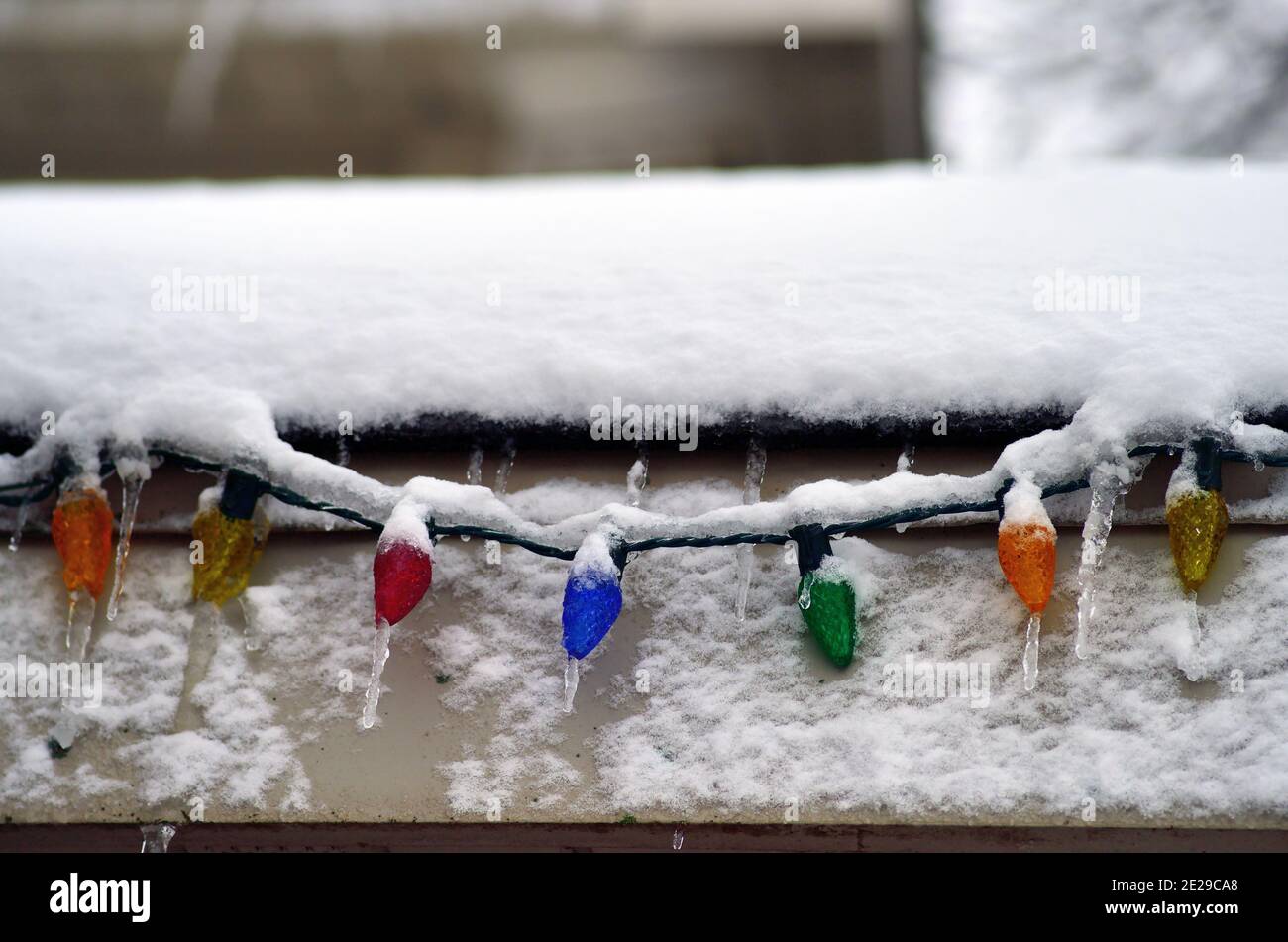 Sycamore, Illinois, Stati Uniti. Un fascio di luci natalizie si siedono tra neve e ghiaccio in una casa del Midwest degli Stati Uniti a seguito di una tempesta invernale. Foto Stock
