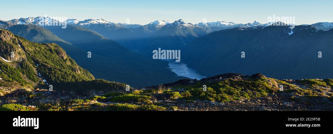 Buttle Lake, Strathcona Provincial Park, Vancouver Island Foto Stock