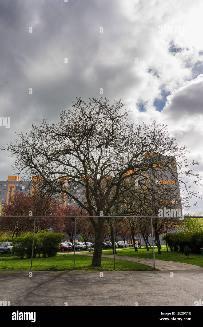 POZNAN, POLONIA - 23 apr 2017: Terreno sportivo e condominio in asfalto nel quartiere stare Zegrze Foto Stock