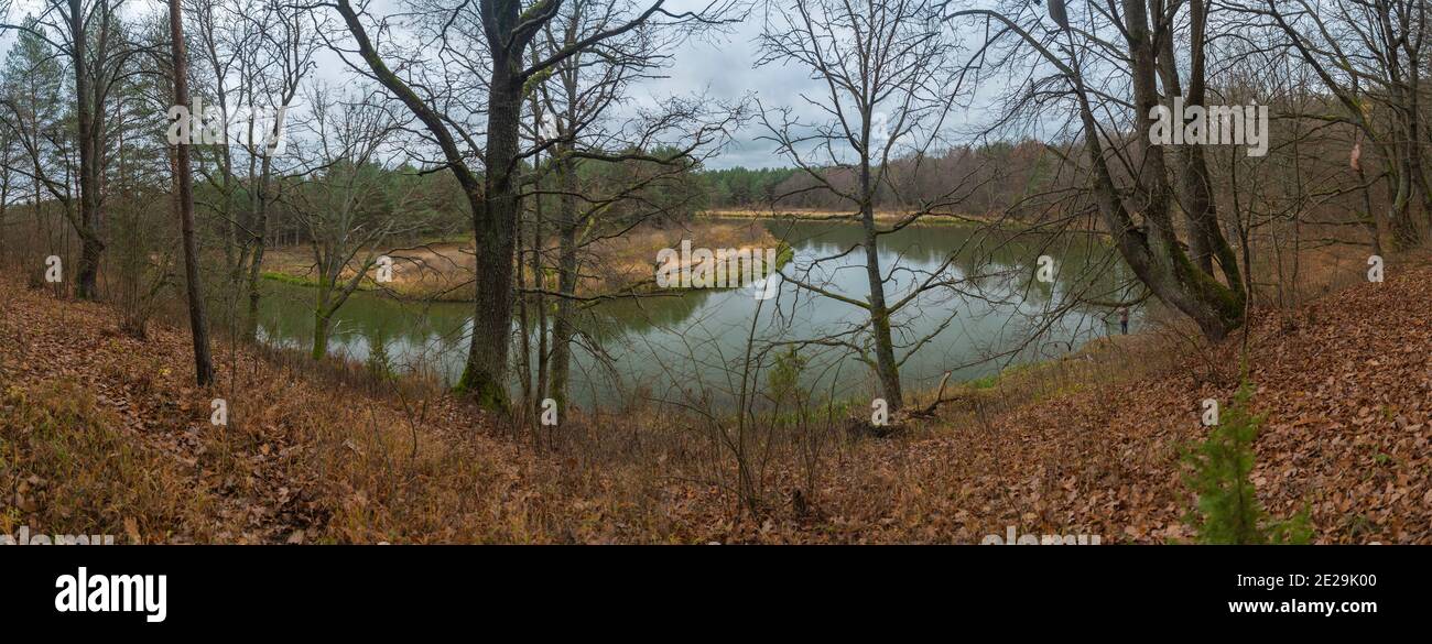 fiume scorre nella foresta fine autunno. Foto Stock