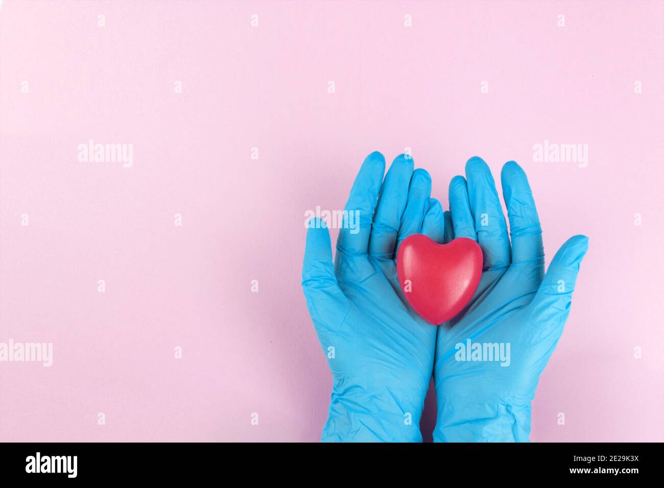 Mani in guanti blu mediacl che tengono la forma del cuore, cuore piccolo nelle mani sicure di un medico Foto Stock