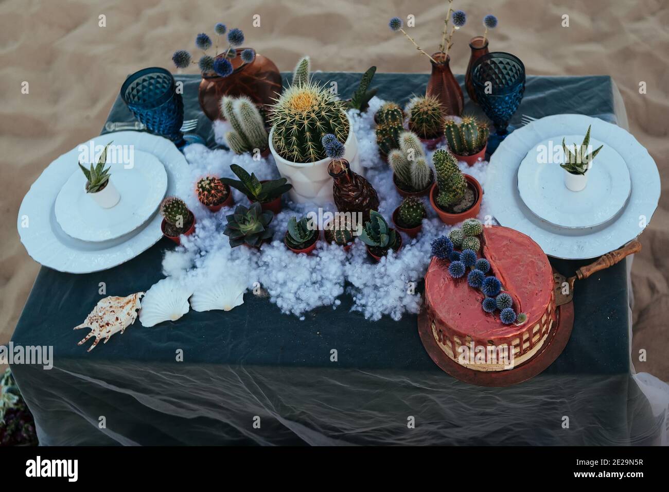 tavolo decorato con succulenti sul mare sera Foto Stock