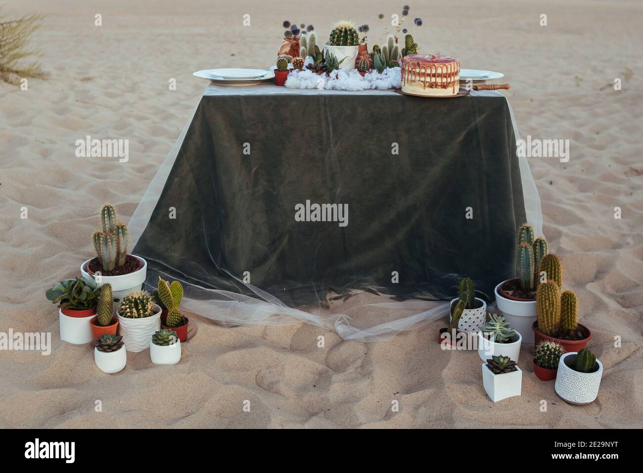 tavolo decorato per matrimoni con succulenti sulla sabbia Foto Stock
