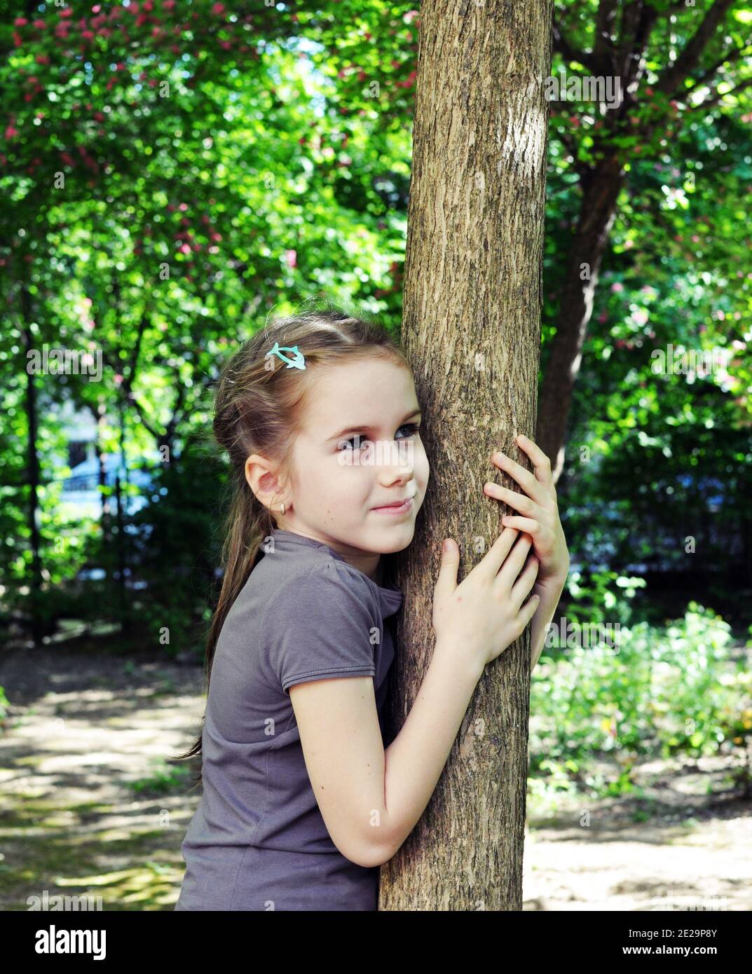 Bambina bionda, ragazza, 8 anni, sorridente e abbracciante un tronco nella foresta Foto Stock