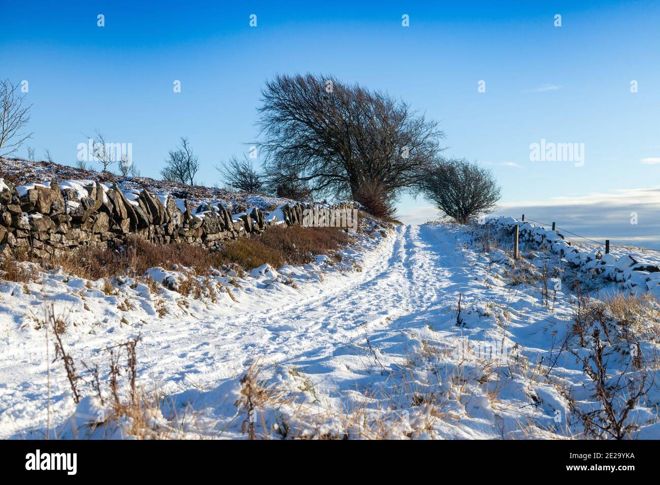 Un giorno d'inverno nelle colline di Lomond, appena sotto Lomond Est Foto Stock