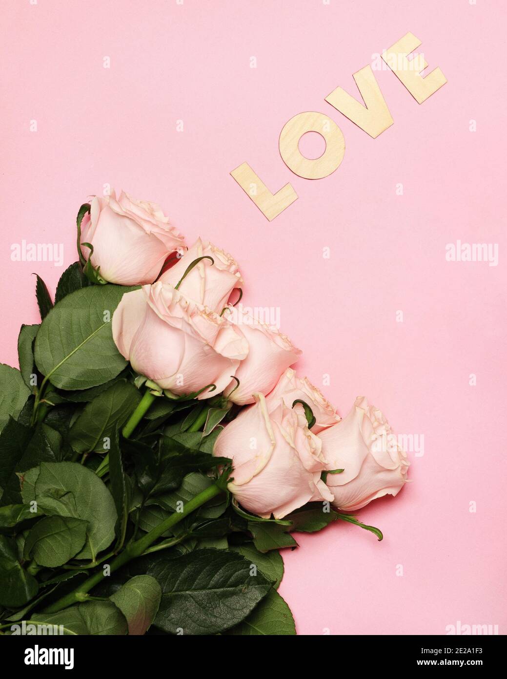 Rosa pastello rose e parola amore su sfondo rosa, sopra, piatto. Modello di biglietto d'auguri romantico o invito Foto Stock