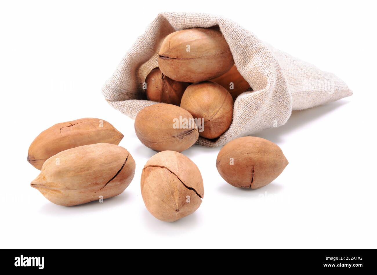 Pecan su sfondo bianco Foto Stock