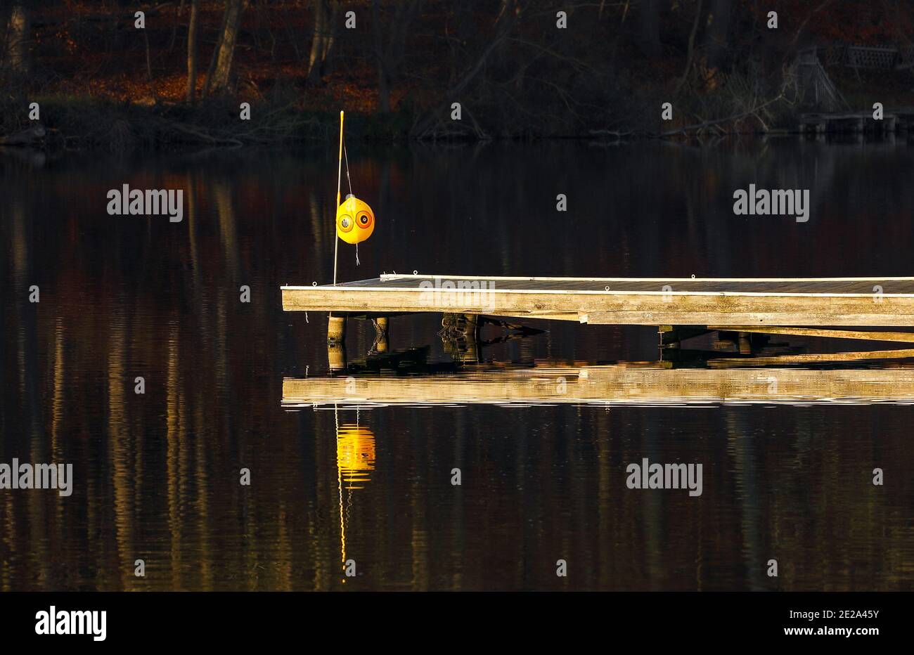 Questa palla di plastica gialla con gli occhi stampati vi mette in un buon umore ed è un vero e proprio occhio-catcher. Dieksee, Bad Malente-Gremsmühlen, Germania. Foto Stock