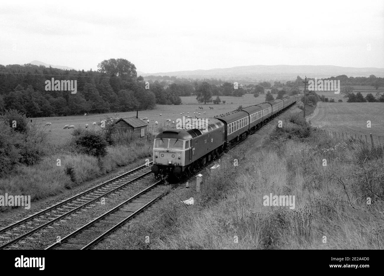 La locomotiva diesel di classe 47 n. 47558 tira un treno passeggeri da Cardiff a Llandudno vicino a Condover, Shropshire, Regno Unito. 27 settembre 1986. Foto Stock