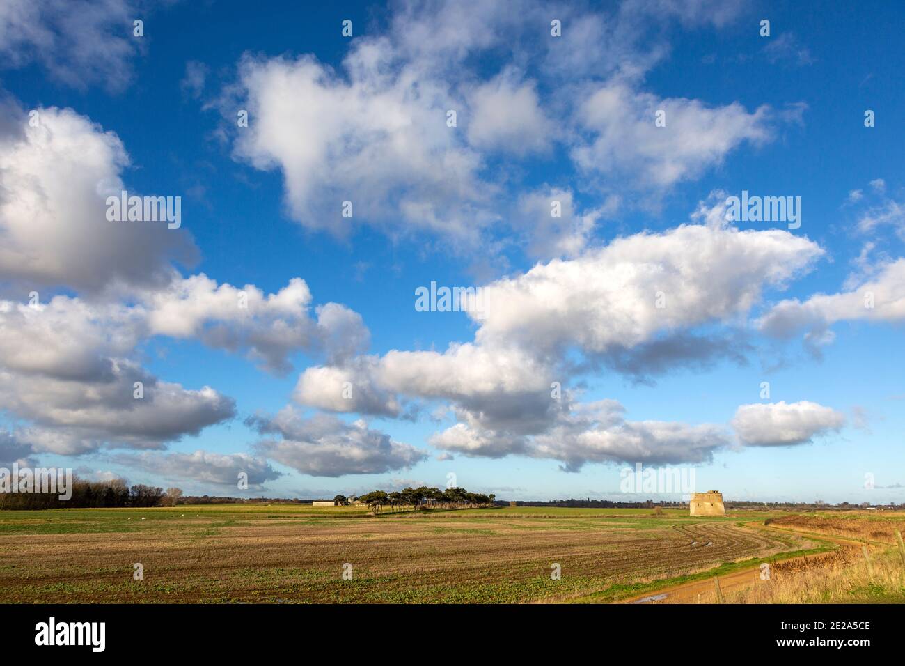 Soffici nubi bianche di cumuli che passano sui campi, Alderton, Suffolk, Inghilterra, Regno Unito Foto Stock