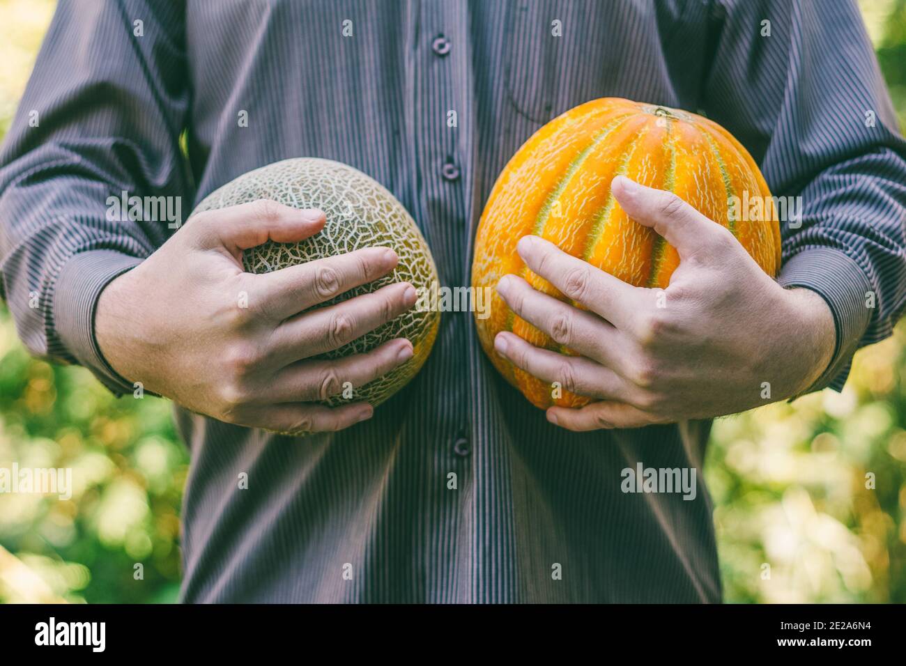 Un uomo azienda meloni maturi di diverse varietà Foto Stock