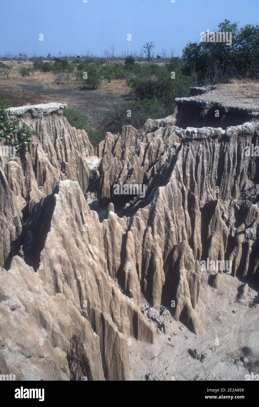 Grave erosione del suolo suoli Luangwa Sud Parco Nazionale Zambia Foto Stock
