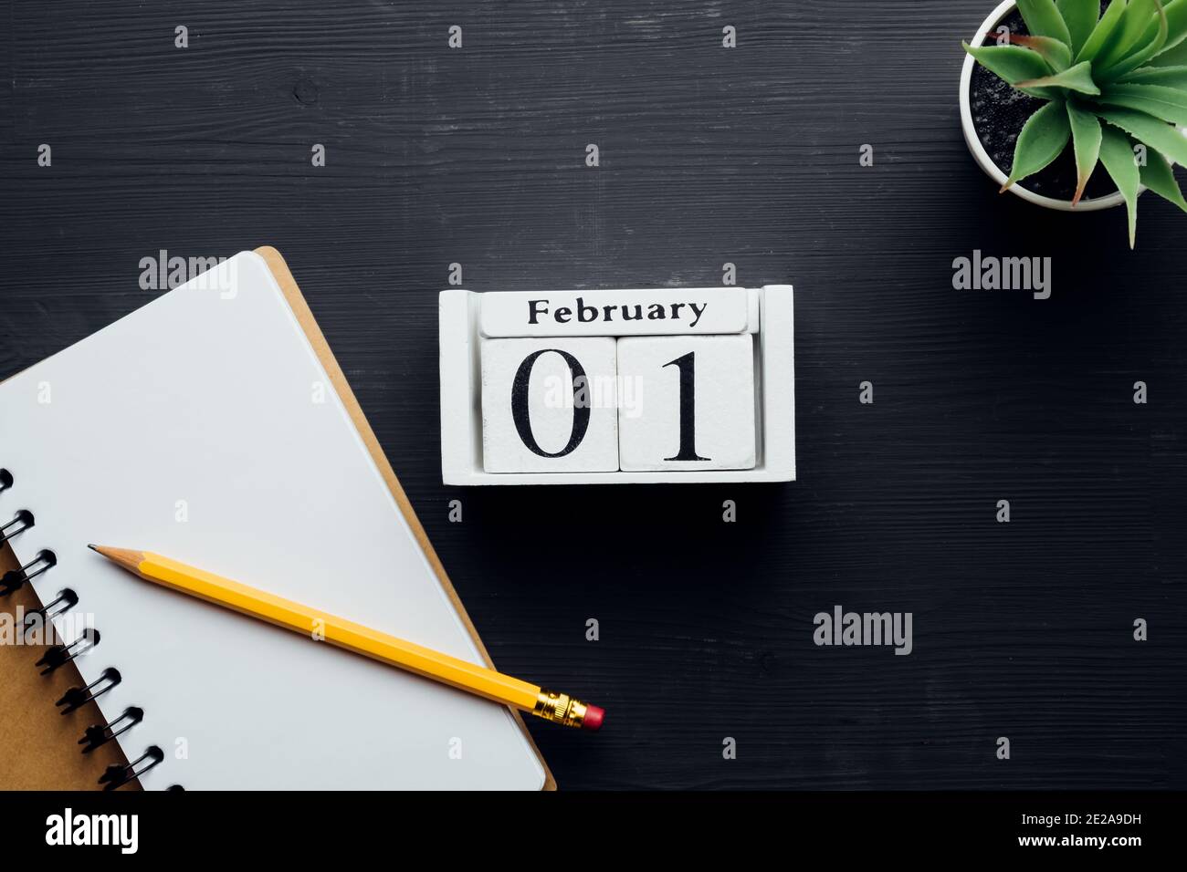 primo giorno del calendario del mese invernale febbraio. Foto Stock