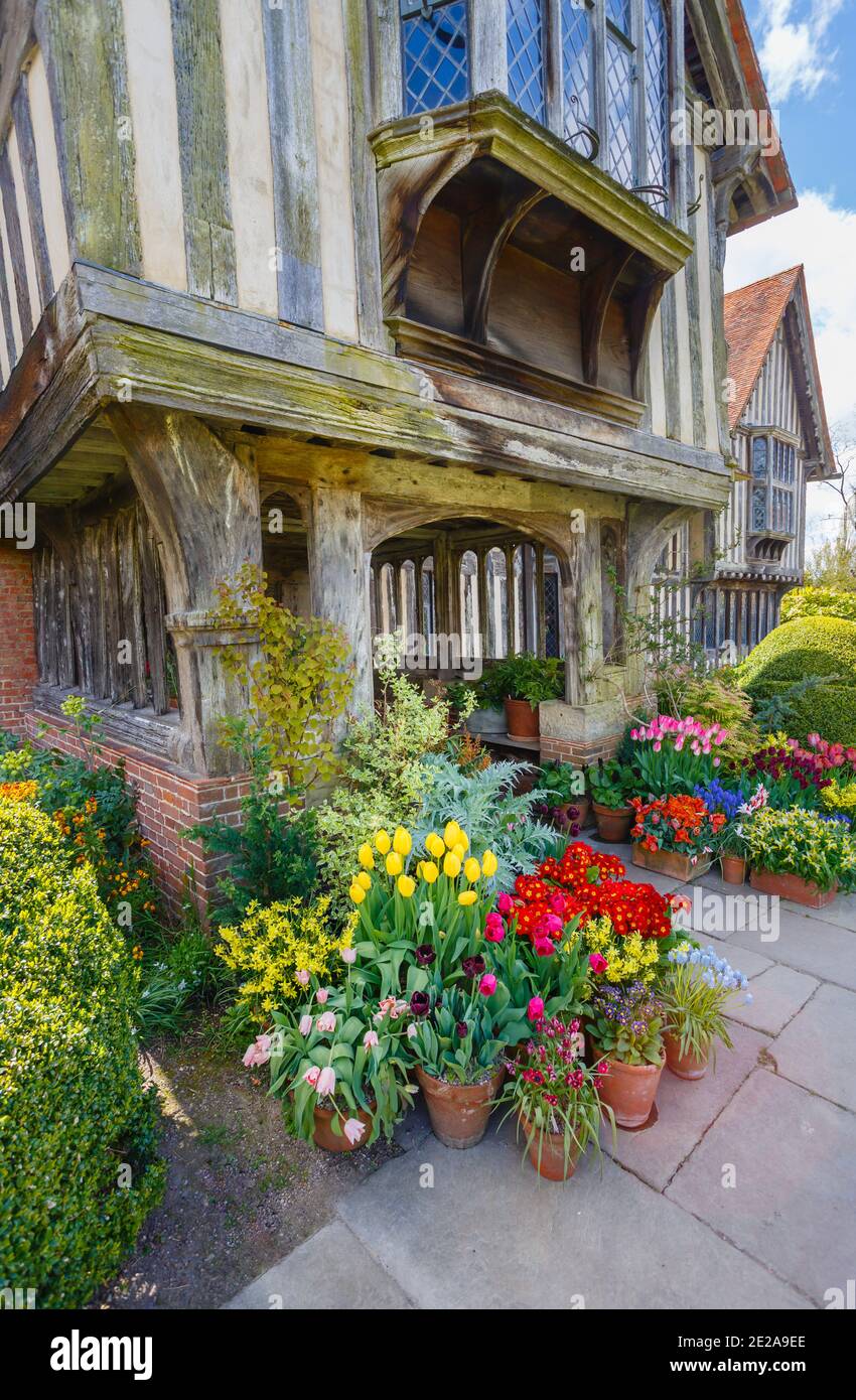 Fiori colorati presso il portico d'ingresso del Grande Dixter, una casa di campagna di Edwin Lutyens e giardino di Christopher Lloyd, Northiam, Sussex orientale Foto Stock