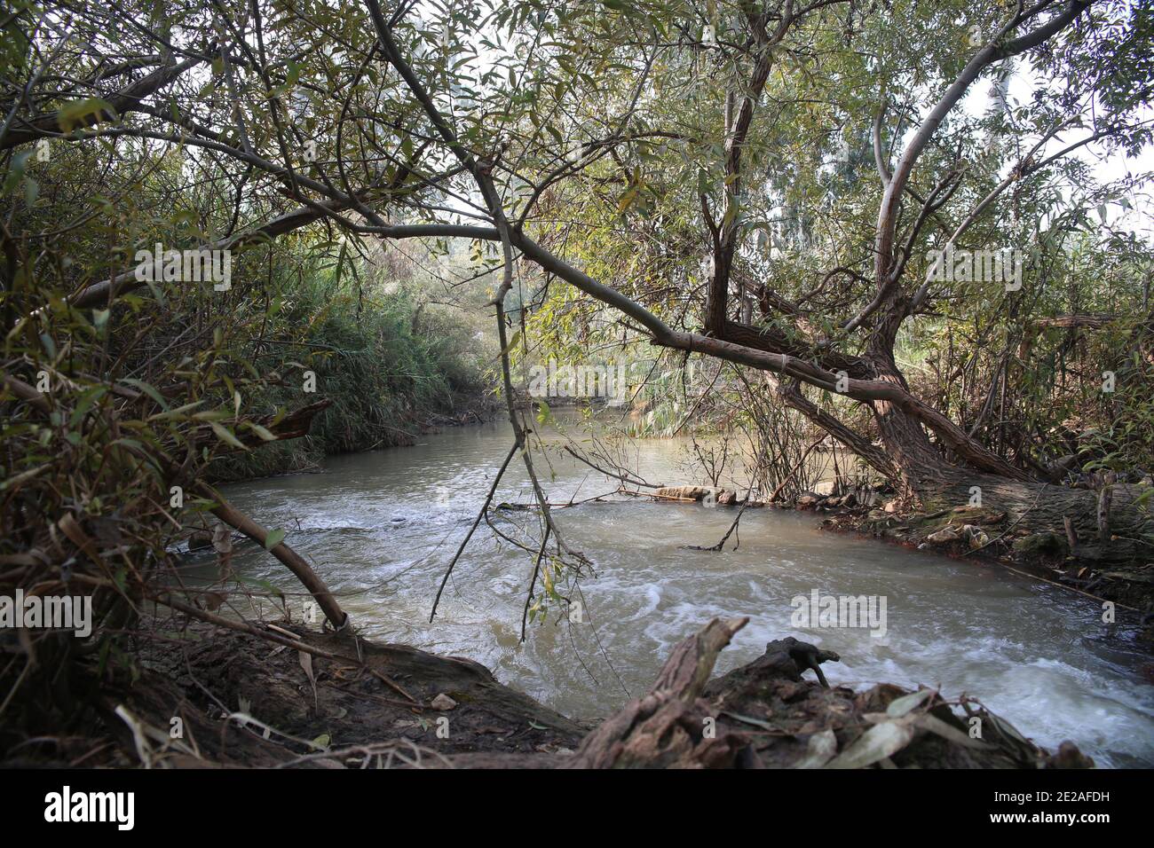Fuori dai sentieri battuti in Israele, UN sentiero naturale Le rive del fiume Yarkon Foto Stock