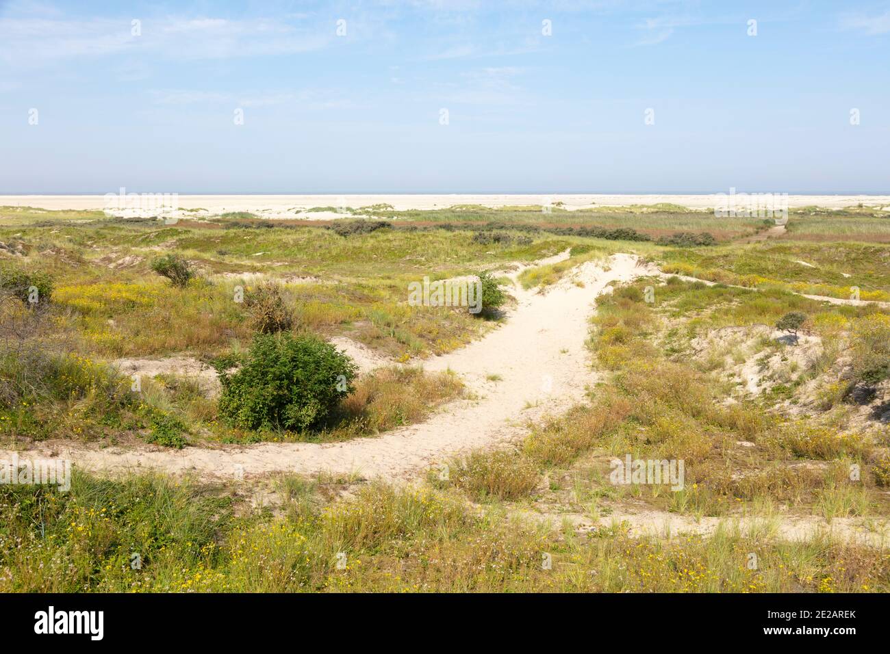 Spiaggia di sabbia bianca sull'isola di Borkum, Isola Frisone Est, frisia Est, bassa Sassonia, Germania, Europa Foto Stock Spiaggia di sabbia bianca sull'isola di Borkum, Isola Frisone Est, frisia Est, bassa Sassonia, Germania, Europa Foto Stock