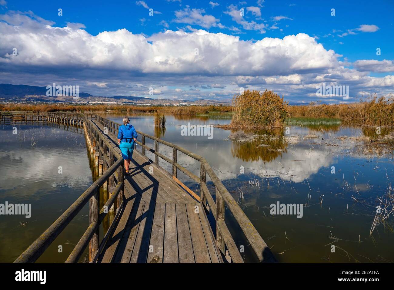 El Hondo de Elche, riserva naturale dei laghi e degli uccelli di Fondo de Elche, Costa Blanca, Spagna Foto Stock