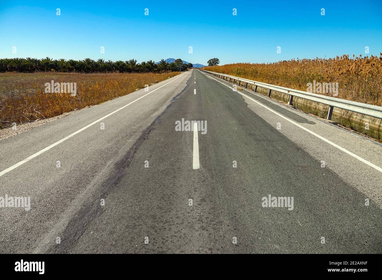 Strada dritta attraverso pianure vicino El Hondo de Elche, laghi fondo de Elche e riserva naturale uccelli, Costa Blanca, Spagna Foto Stock