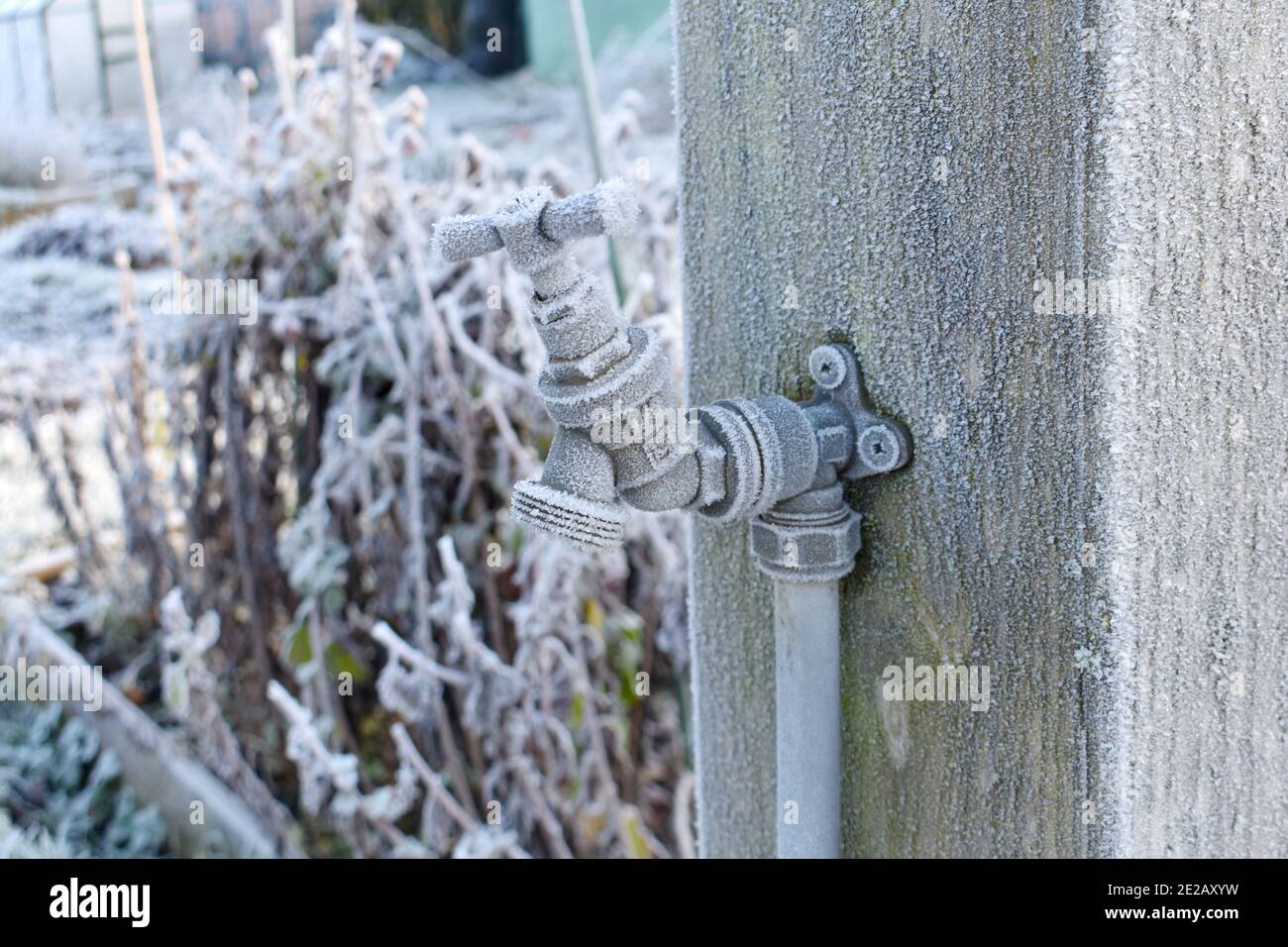 primo piano del rubinetto d'acqua esterno coperto di ghiaccio collegato ad  un palo di legno su un giardino di assegnazione in inverno Foto stock -  Alamy