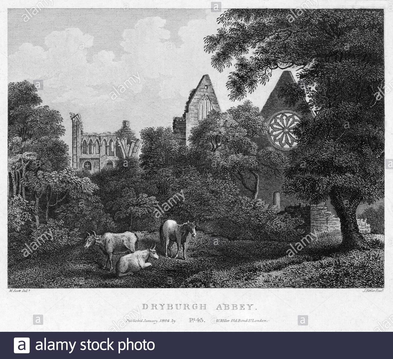 Abbazia di Dryburgh, Scottish Borders, Scozia, incisione d'epoca del 1804 Foto Stock