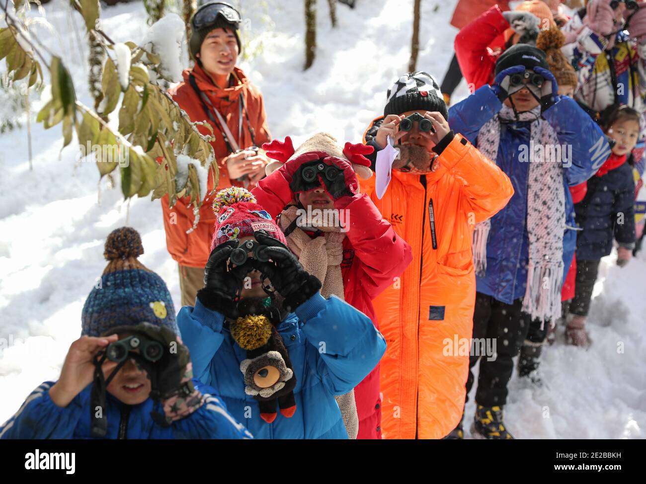 Yingjing, provincia cinese del Sichuan. 13 gennaio 2021. Gli studenti della scuola elementare di Huchangbao osservano gli uccelli in un campo nel Parco Nazionale della Foresta di Longcantgou nella Contea di Yingjing, nella provincia sudoccidentale di Sichuan, 13 gennaio 2021. Anni recenti la Contea di Yingjing ha organizzato una serie di attività educative nel Parco Nazionale della Foresta di Longcantgou per promuovere l'educazione locale in ambiente naturale. Credit: Jiang Hongjing/Xinhua/Alamy Live News Foto Stock