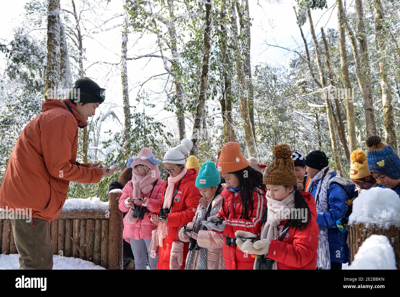Yingjing, provincia cinese del Sichuan. 13 gennaio 2021. Gli studenti della scuola elementare di Huchangbao imparano ad usare la bussola nel Parco Nazionale della Foresta di Longcantgou nella Contea di Yingjing, nella provincia sudoccidentale di Sichuan, il 13 gennaio 2021. Anni recenti la Contea di Yingjing ha organizzato una serie di attività educative nel Parco Nazionale della Foresta di Longcantgou per promuovere l'educazione locale in ambiente naturale. Credit: Liu Mengqi/Xinhua/Alamy Live News Foto Stock