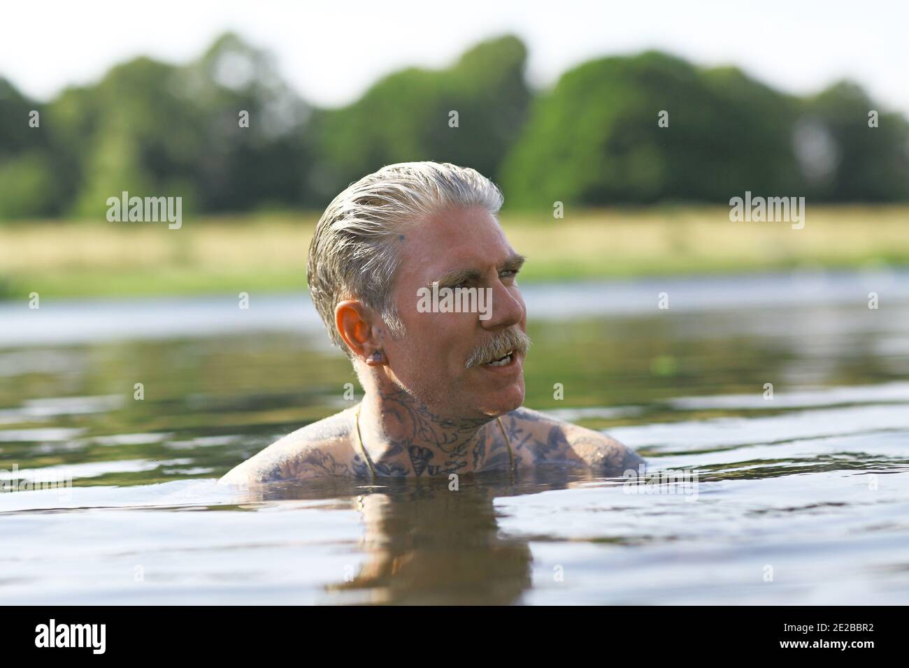 nuotatore selvaggio al lago di syon park , albury estate, brentford , middlesex, regno unito Foto Stock