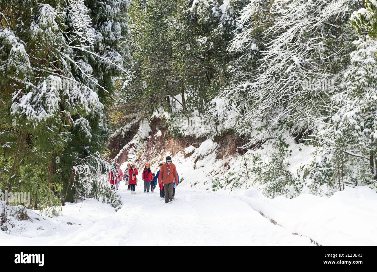 Yingjing, provincia cinese del Sichuan. 13 gennaio 2021. Gli studenti della scuola elementare di Huchangbao partecipano ad attività didattiche in un campo nel Parco Nazionale della Foresta di Longcantgou nella Contea di Yingjing, nella provincia sudoccidentale di Sichuan, 13 gennaio 2021. Anni recenti la Contea di Yingjing ha organizzato una serie di attività educative nel Parco Nazionale della Foresta di Longcantgou per promuovere l'educazione locale in ambiente naturale. Credit: Liu Mengqi/Xinhua/Alamy Live News Foto Stock