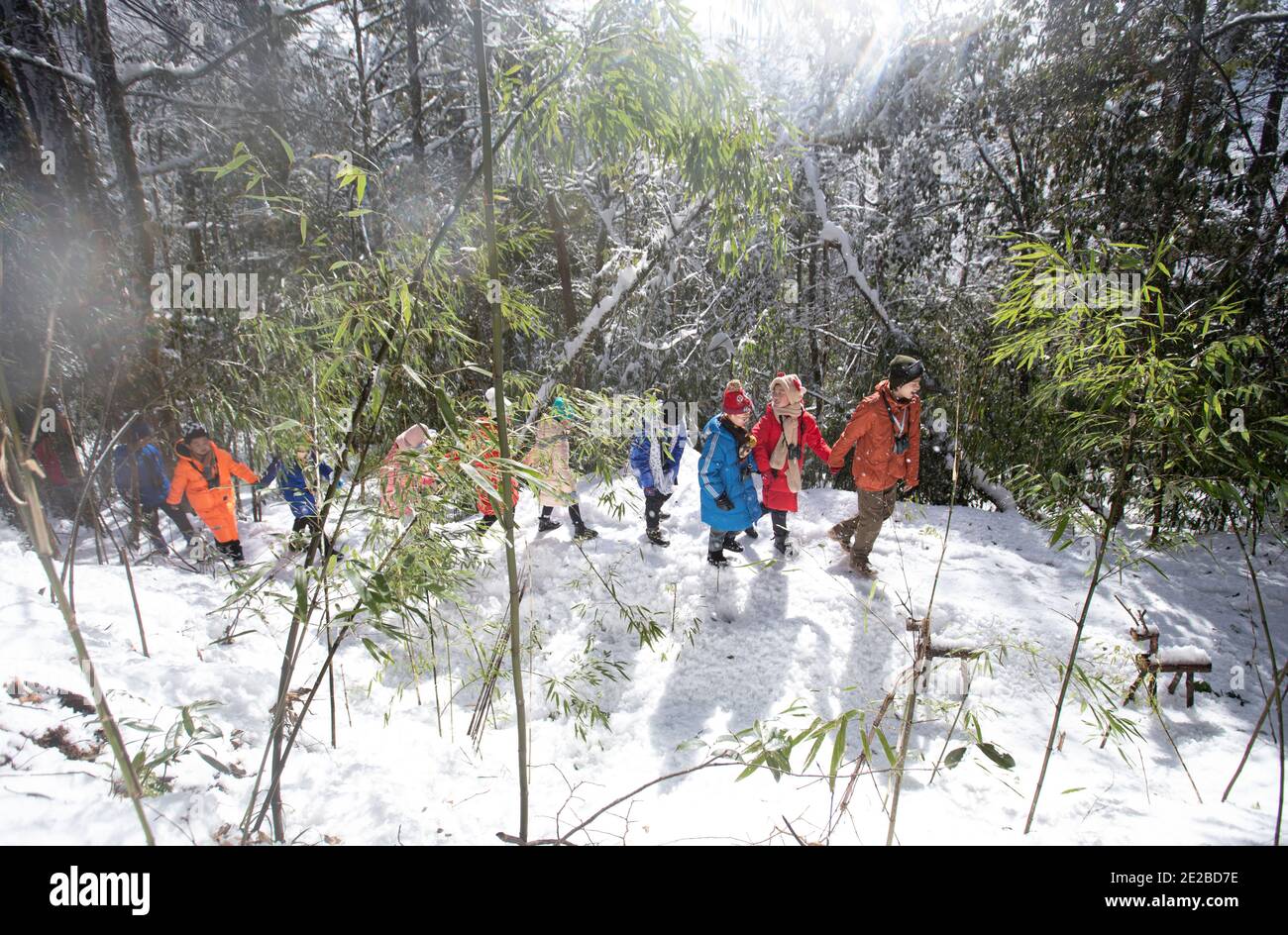 Yingjing, provincia cinese del Sichuan. 13 gennaio 2021. Gli studenti della scuola elementare di Huchangbao partecipano ad attività didattiche in un campo nel Parco Nazionale della Foresta di Longcantgou nella Contea di Yingjing, nella provincia sudoccidentale di Sichuan, 13 gennaio 2021. Anni recenti la Contea di Yingjing ha organizzato una serie di attività educative nel Parco Nazionale della Foresta di Longcantgou per promuovere l'educazione locale in ambiente naturale. Credit: Liu Mengqi/Xinhua/Alamy Live News Foto Stock
