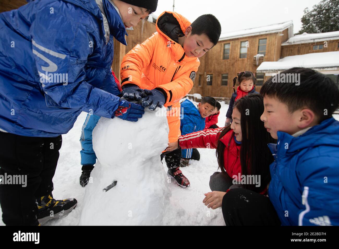 Yingjing, provincia cinese del Sichuan. 13 gennaio 2021. Gli studenti della scuola elementare di Huchangbao costruiscono un pupazzo di neve in un campo nel Parco Nazionale della Foresta di Longcantgou nella Contea di Yingjing, nella provincia sudoccidentale di Sichuan, il 13 gennaio 2021. Anni recenti la Contea di Yingjing ha organizzato una serie di attività educative nel Parco Nazionale della Foresta di Longcantgou per promuovere l'educazione locale in ambiente naturale. Credit: Liu Mengqi/Xinhua/Alamy Live News Foto Stock