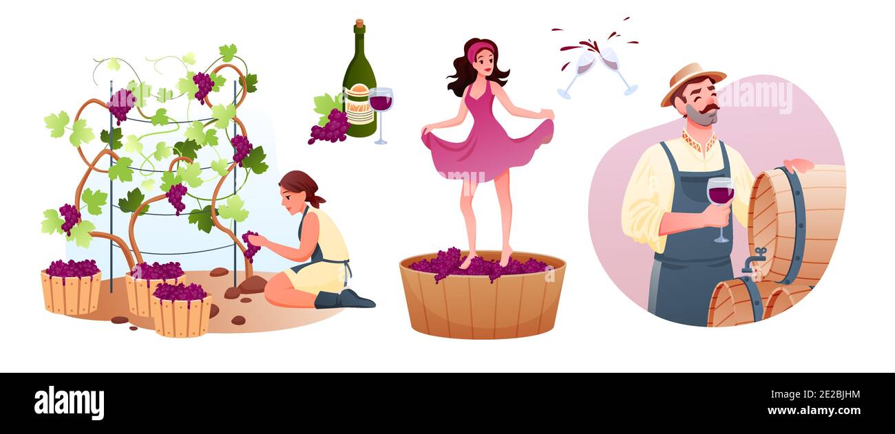 Produzione di vino in cantina tradizionale. Cartoon uomo donna personaggi produrre vite naturale, coltivare uve biologiche, produrre vino prodotto, degustazione di alcol Illustrazione Vettoriale