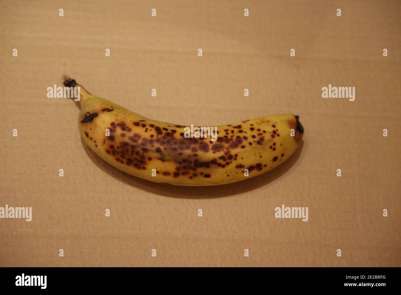 Dimostrazione: La radiazione ultravioletta (UVA) dalla luce nera provoca la fluorescenza della banana matura; indicazione di maturazione; stessa banana 2E2BRGJ in luce normale Foto Stock