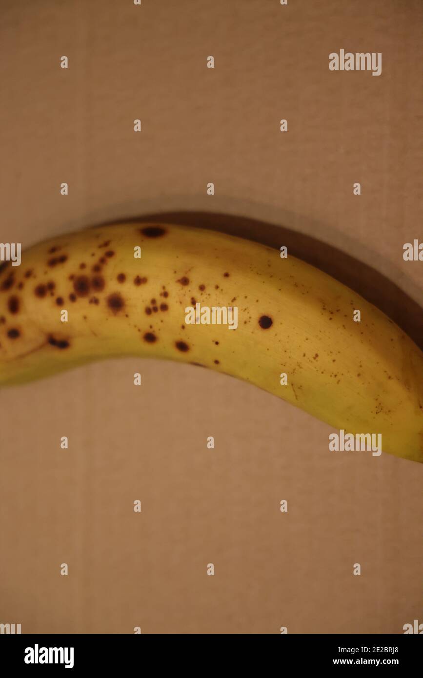 Dimostrazione: La radiazione ultravioletta (UVA) dalla luce nera causa la fluorescenza della banana matura; indicazione di maturazione; confronta la stessa banana inUV in 2E2BRHP Foto Stock
