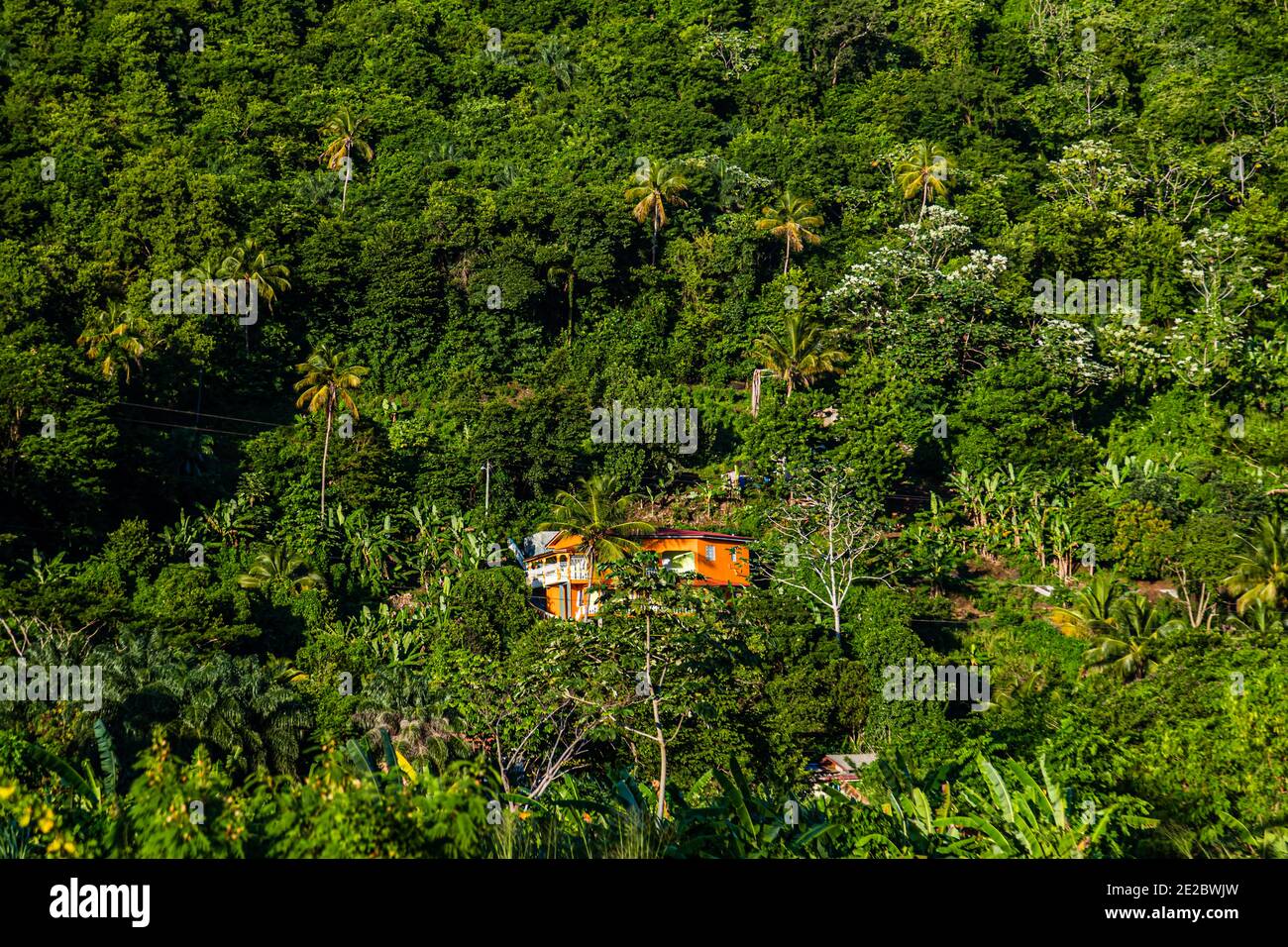 Casa residenziale su un pendio boscoso sull'isola caraibica Di Greneda Foto Stock