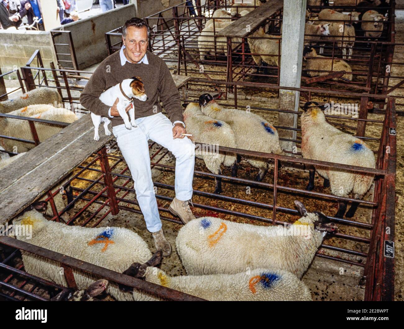 HERTFORD - INGHILTERRA 1986. Frederick McCarthy Forsyth (romanziere) in posa per la macchina fotografica durante la visita Hertford mercato delle pecore e del bestiame nel 1986. Foto di G Foto Stock