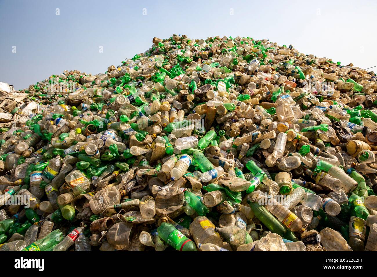 Bottiglie di plastica raccolte per il riciclaggio a Brahmanbaria, Bangladesh. Foto Stock