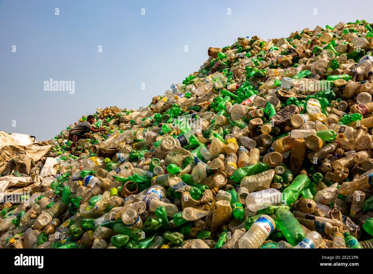 Bottiglie di plastica raccolte per il riciclaggio a Brahmanbaria, Bangladesh. Foto Stock