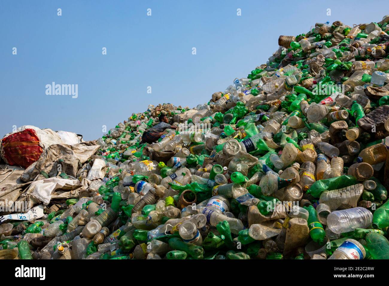 Bottiglie di plastica raccolte per il riciclaggio a Brahmanbaria, Bangladesh. Foto Stock